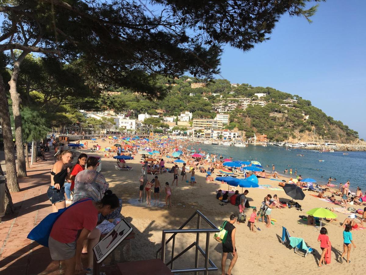 Greenchalets Costa Brava *